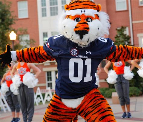 Fan interviews: What the Auburn Tiger mascot means to the Auburn community